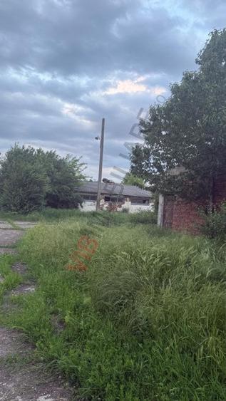Teren extravilan de 8100 mp, în Est