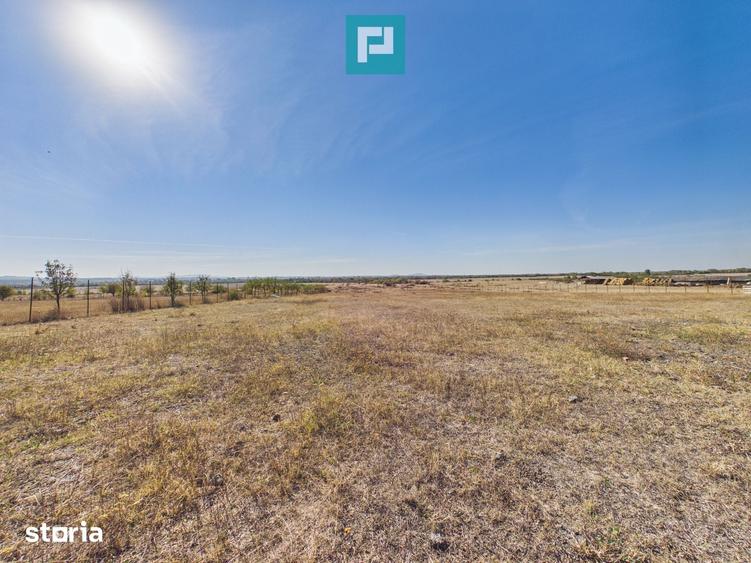 Teren de 5000 mp, în Central