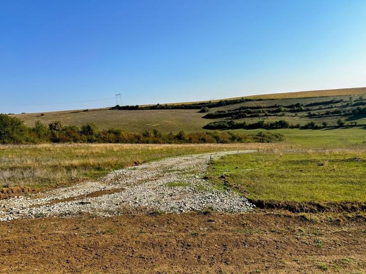 Teren Construcții extravilan de 651 mp, în Rusciori