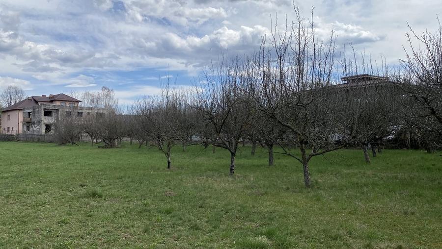 Teren în Pruni