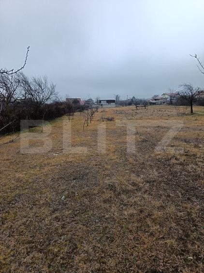 Teren Construcții intravilan de 2818 mp, în Blejoi