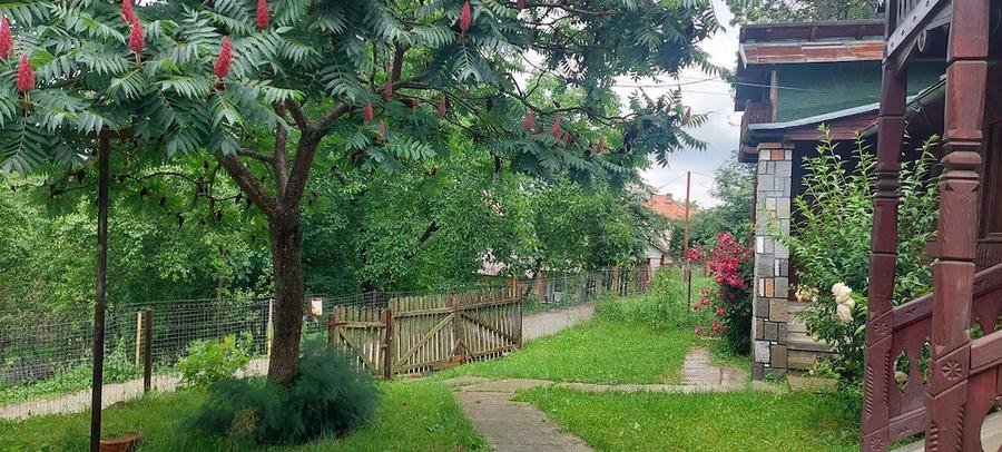 Casă cu 2 camere cu Teren 1745 Mp în Poiana
