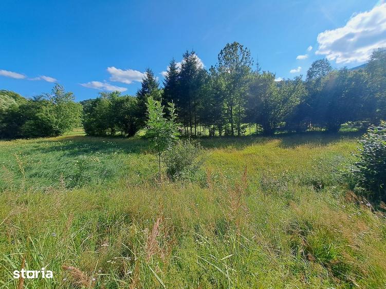 Teren de 2700 mp, în Mara