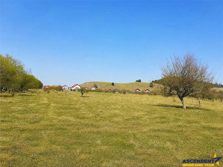 Teren de 3250 mp, în Sânpetru