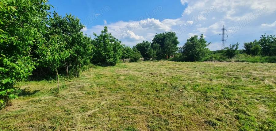 Teren de 3600 mp, în Central