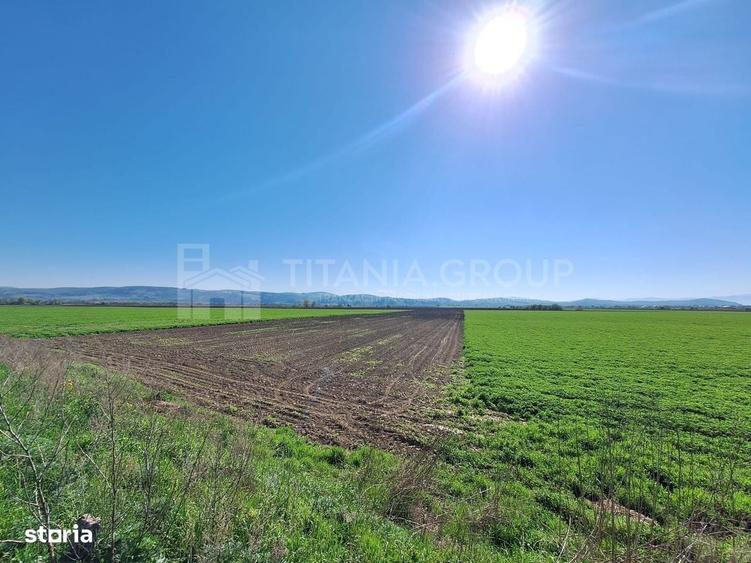 Teren extravilan, 8700 mp, pretabil agricultura sau investitie - Bod - 7