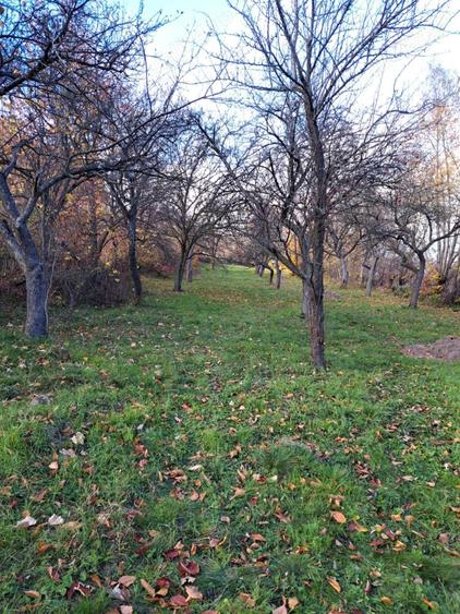 Teren de 2000 mp, în Văratec