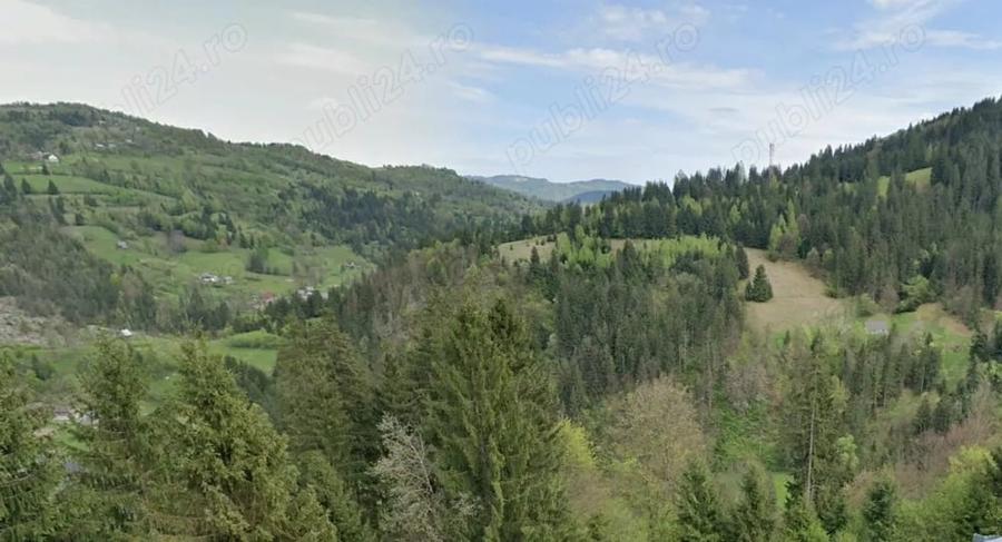 Teren de 3466 mp, în Scărișoara