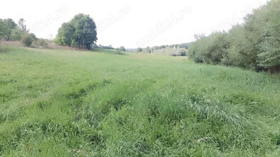 Teren de 4400 mp, în Mitocu Dragomirnei