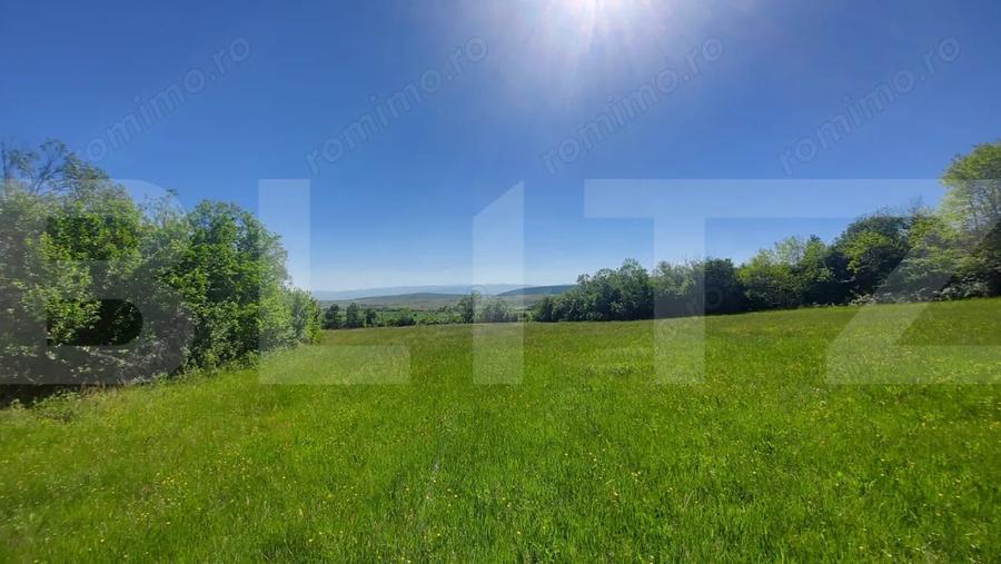 Investi?ie 3,6 ha Glamping, Pensiune sau Centru Ecvestru in inima naturii - 2