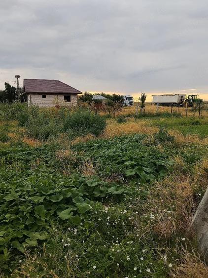 Casă cu Teren 1200 Mp în Stăncuța