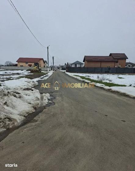 Teren Intravilan Domnesti | 1200mp | Posibilitate constructie | - 5