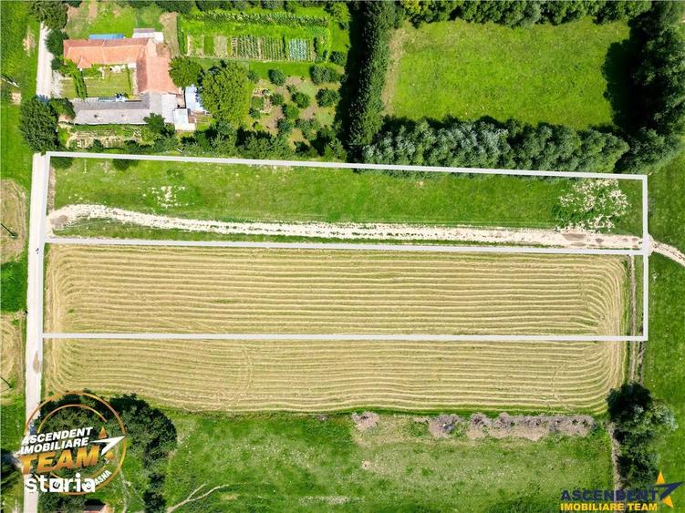 Teren de 2900 mp, în Dobârlău