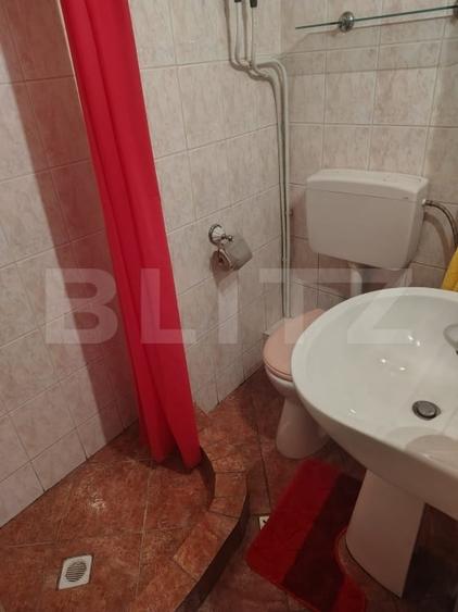 Apartament 2 dormitoare si living  86 mp, mobilat si utilat, zona Ultimul Leu - 19