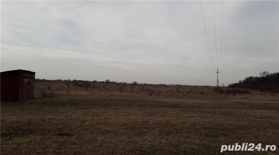 Teren de 1000 mp, în Băile Felix