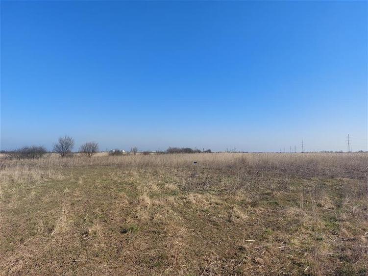 Teren agricol extravilan de 50000 mp, în Turnu