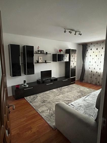 DE INCHIRIAT Apartament 2 camere Brazda lui Novac - 3