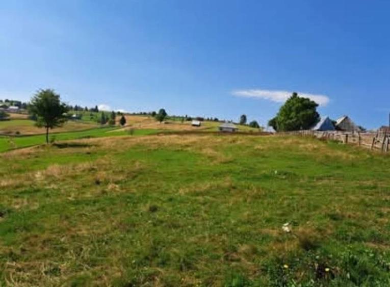 Teren Construcții intravilan de 4274 mp, în Măguri-Răcătău