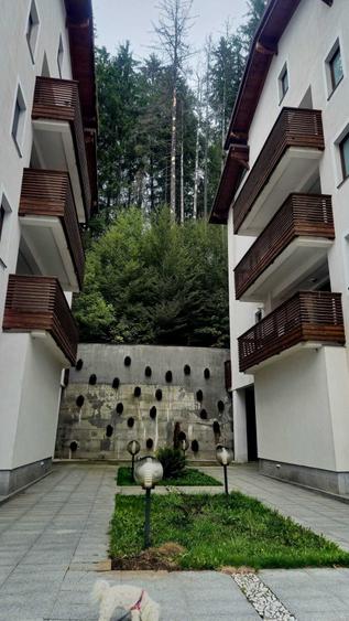 Garsonieră decomandată în Clăbucet