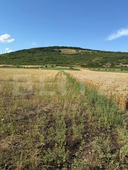 Teren agricol intravilan de 2000 mp, în Șoimuș