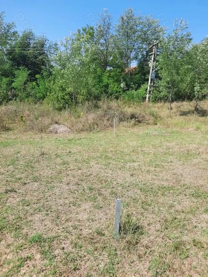 Teren de 2500 mp, în Runcu