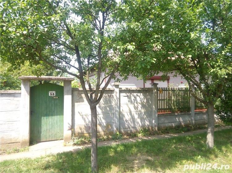 Casă cu 3 camere cu Teren 2538 Mp în Salonta