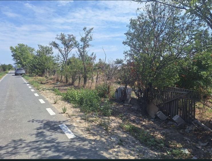 Teren de 1123 mp, în Vădeni