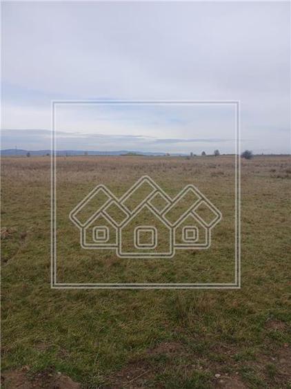 Teren agricol extravilan de 2600 mp, în Cârțișoara