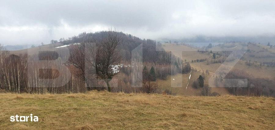 Teren de 9648 mp, în Poiana Mărului