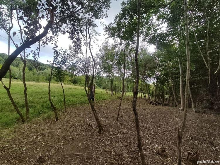 Teren de 3600 mp, în Central