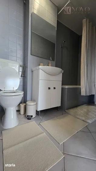 Apartament cu 2 camere nedecomandat, mobilat în Moșilor