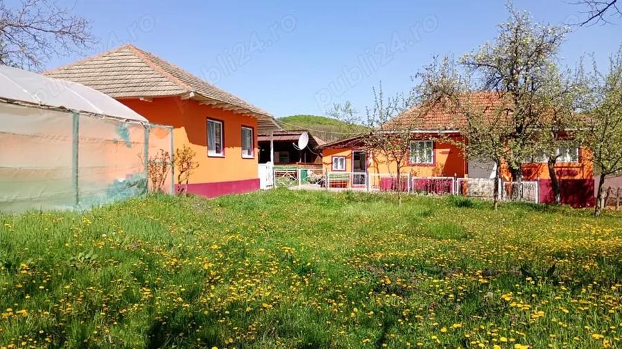 !!! Casa de vanzare(2 imobile)+solar+gradina - 4