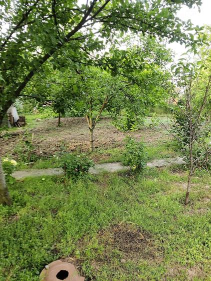 Casă cu 3 camere cu Teren 1000 Mp în Stejaru
