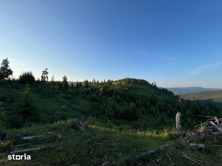 Teren de 500000 mp, în Ciocănești