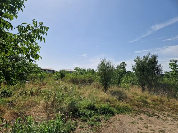 Teren Construcții intravilan de 598 mp, în Domnești