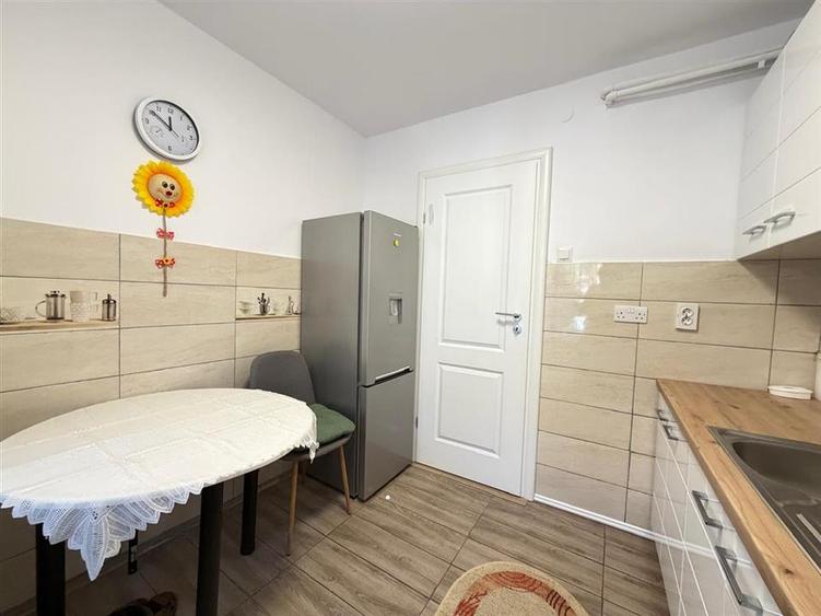 Apartament 2 camere zona Terezian - 9
