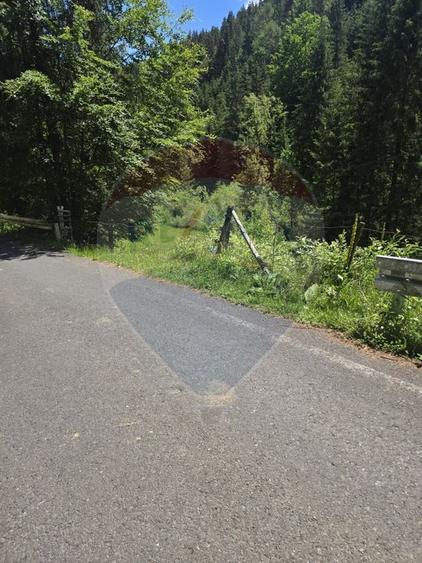 Teren Construcții intravilan de 2966 mp, în Arieșeni