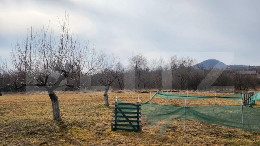 Teren Construcții extravilan de 2000 mp, în Periferie