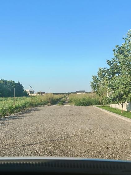 Teren de vanzare frumusani in apropiere de A0 Ilfov - 5