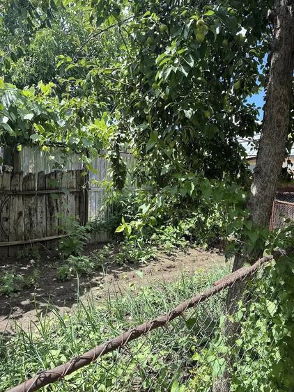 Casă cu 3 camere cu Teren 394 Mp în Pantelimon