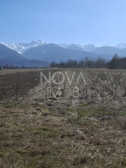 Teren agricol extravilan de 2100 mp, în Arpașu de Sus