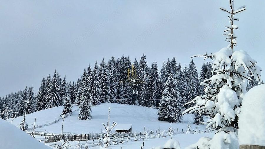 Teren de 32522 mp, în Valea Putnei