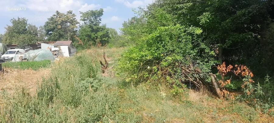 Casă cu Teren 1700 Mp în Roșiori
