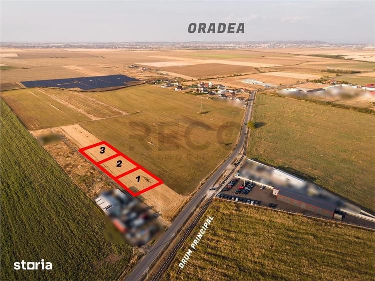 RECO Teren intravilan mixt cu PUZ aprovat Livada de Bihor - 4