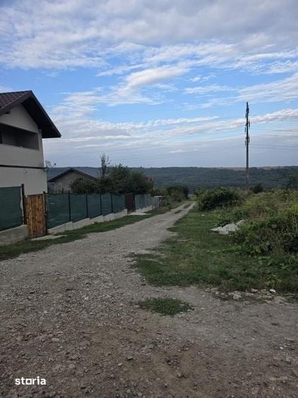 Teren intravilan Valea Lupului - 1