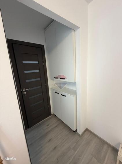 Apartament cu 2 camere de inchiriat in zona Centrul Universitar Nord - 3
