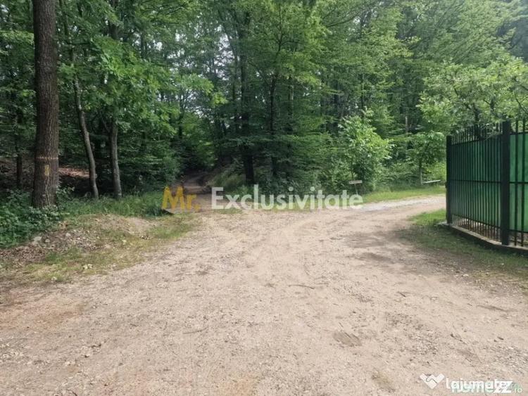 Teren de 12421 mp, în Central