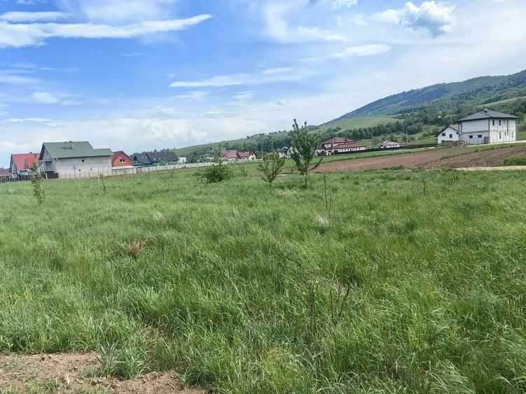 Spațiu comercial, în Vicovu de Sus