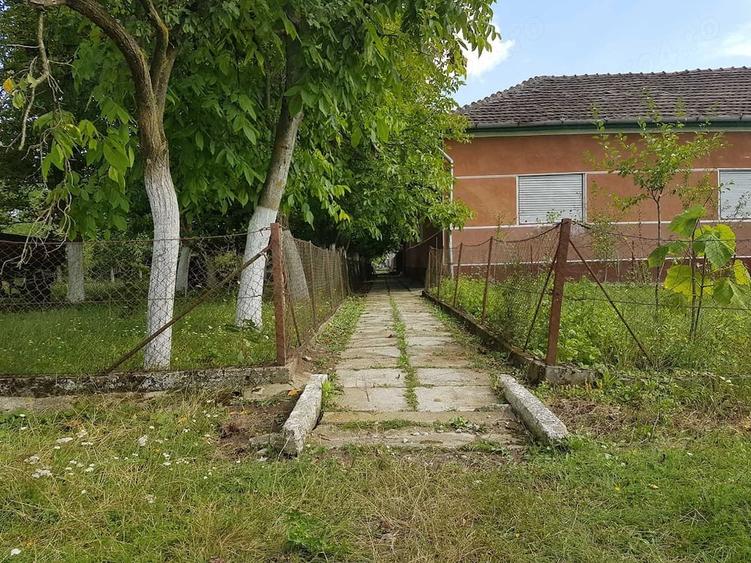 Casă cu Teren 1430 Mp în Central