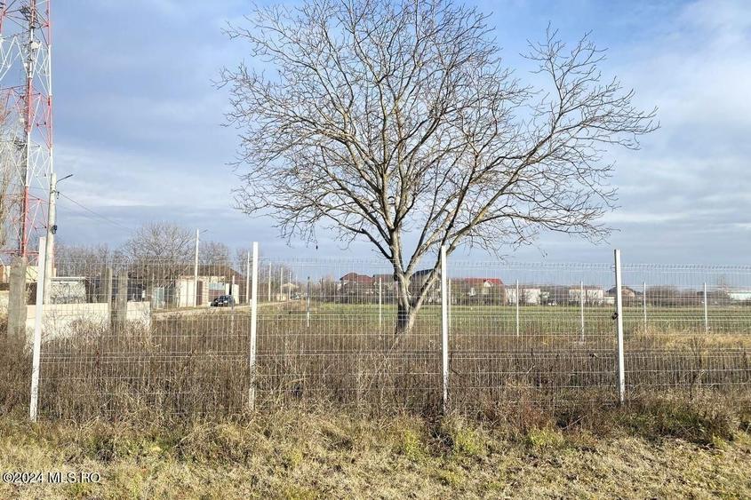 Teren Construcții intravilan de 2409 mp, în Afumați